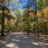 Review photo of Taylor Ridge Campground — Brown County State Park by Wendy T., October 24, 2023
