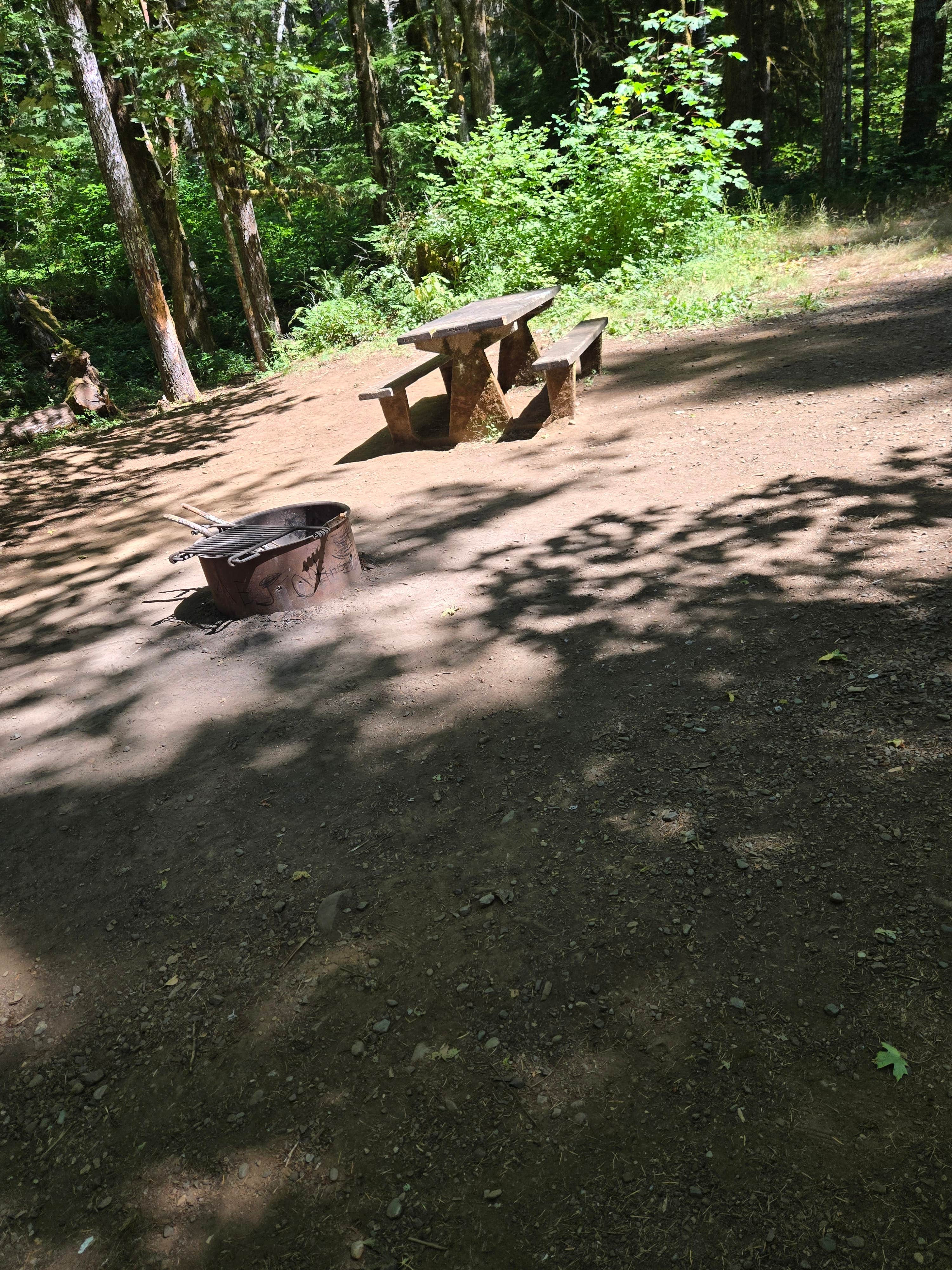 Camper-submitted photo at Brown Creek Campground near Ocean Shores, WA