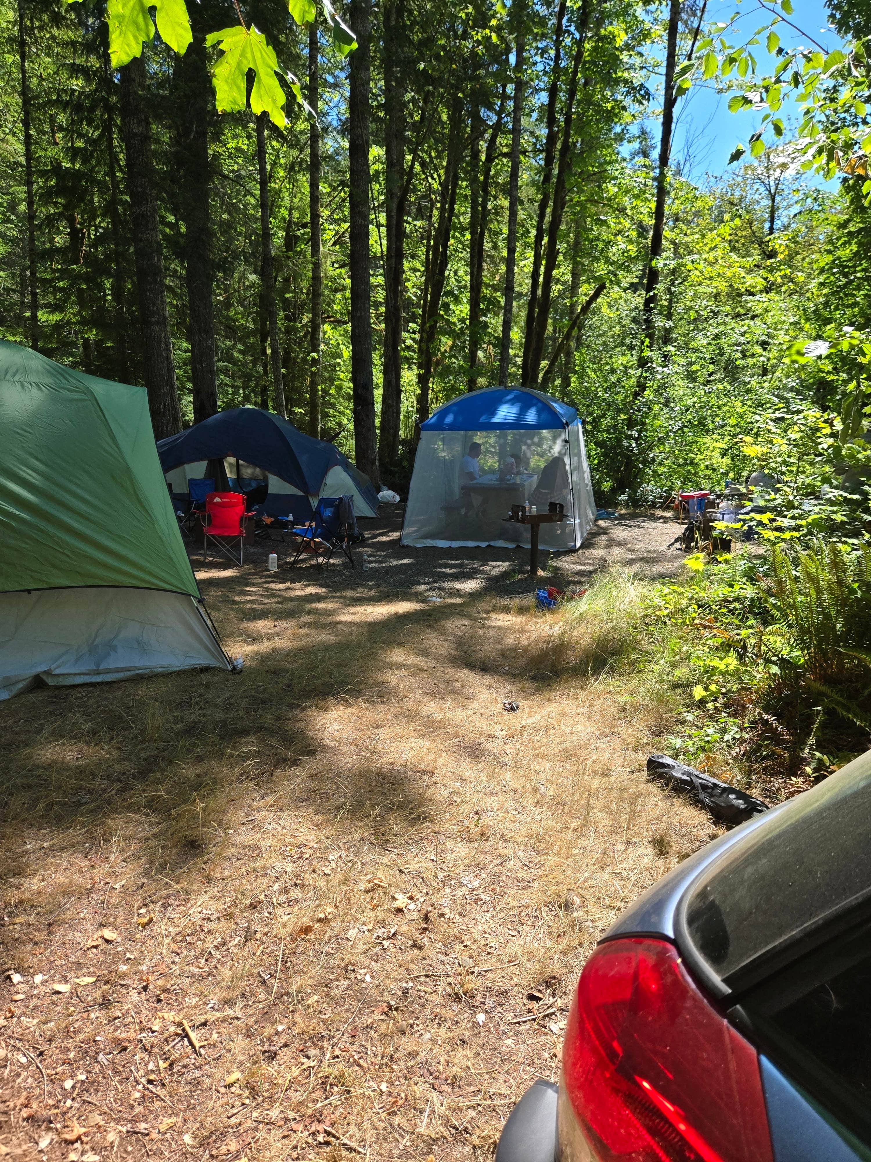 Camper-submitted photo at Brown Creek Campground near Ocean Shores, WA
