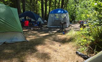 Patrick M.'s photo at Brown Creek Campground near Lilliwaup, WA