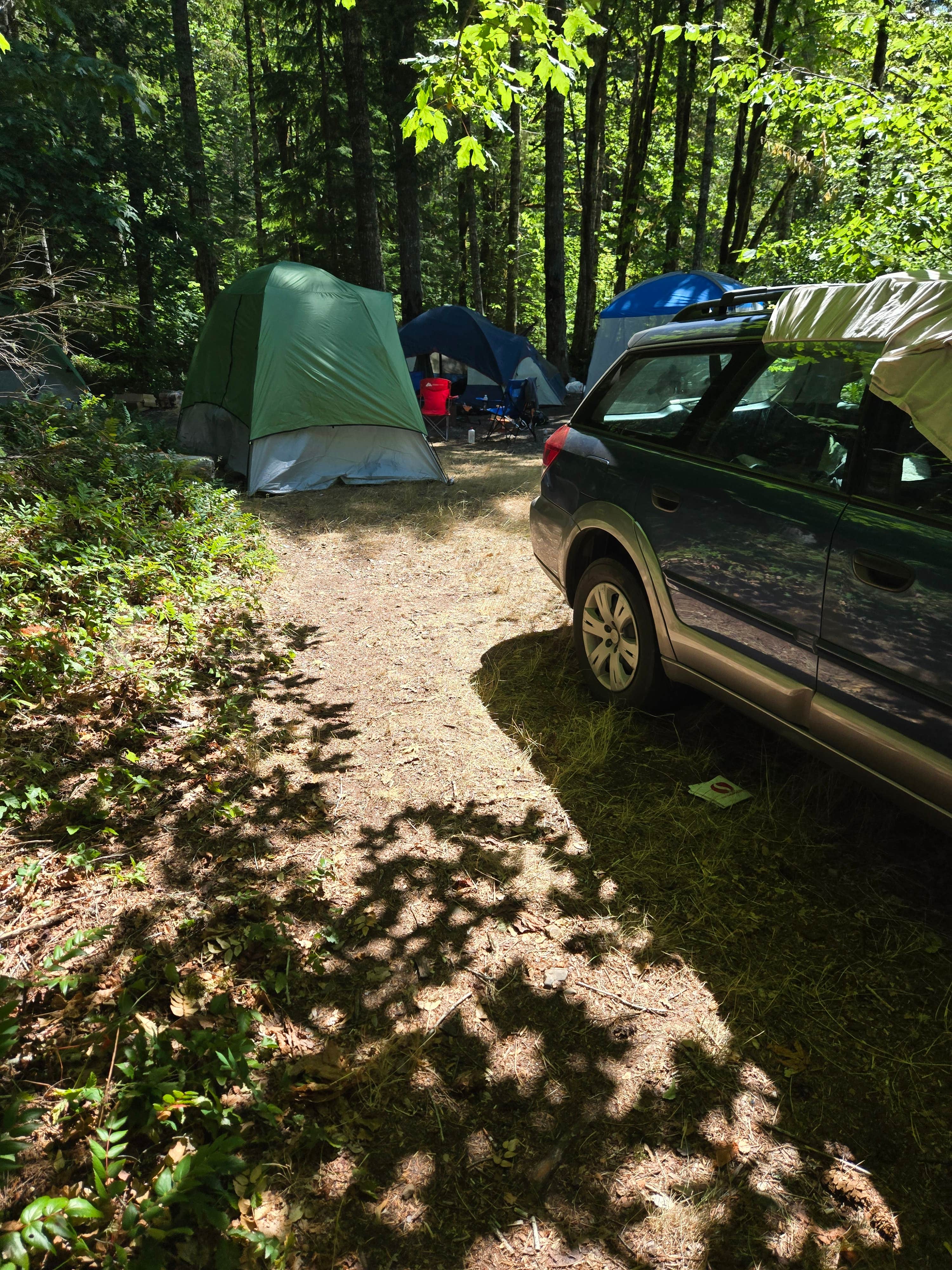 Camping near Brown Creek Campground: Brown Creek Campground, Hoodsport, Washington