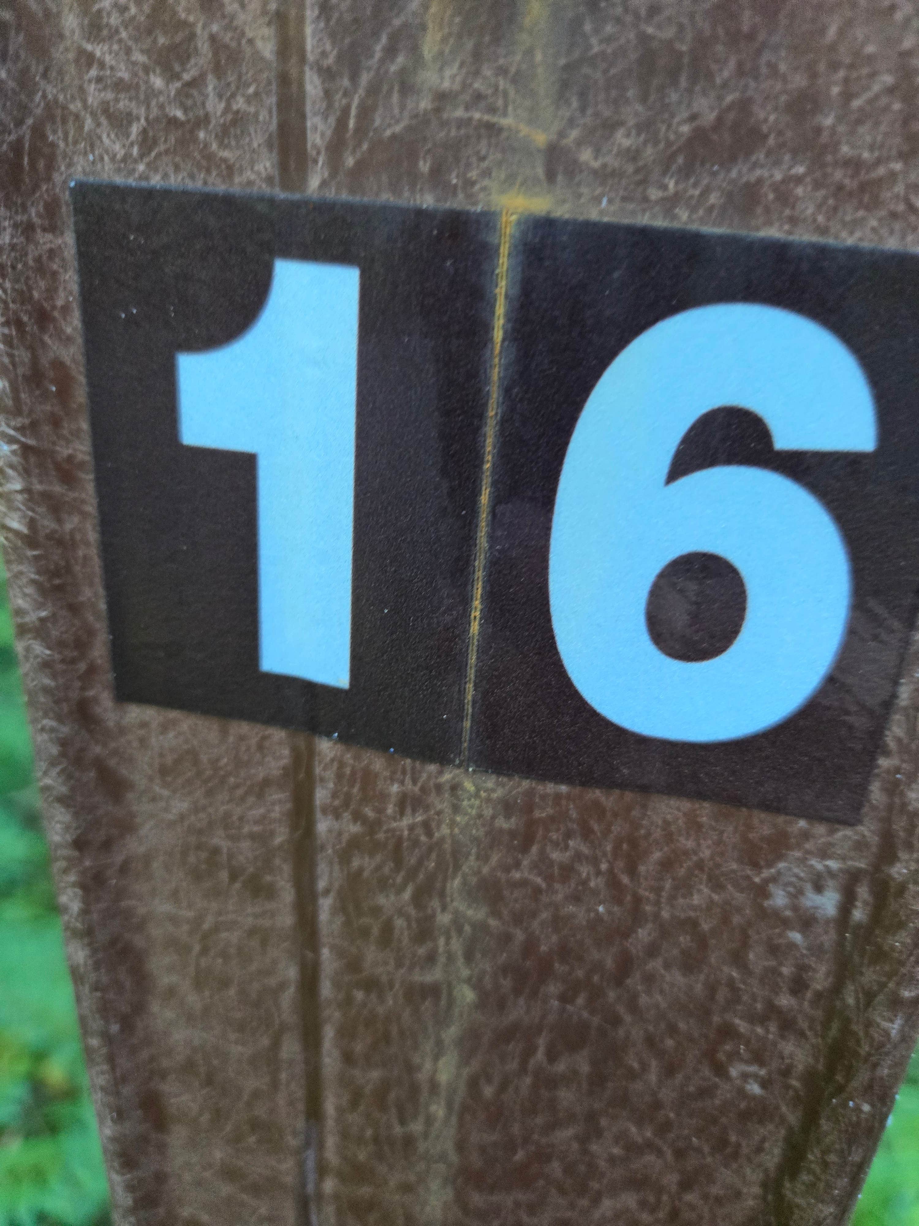 Camper-submitted photo at Brown Creek Campground near Ocean Shores, WA