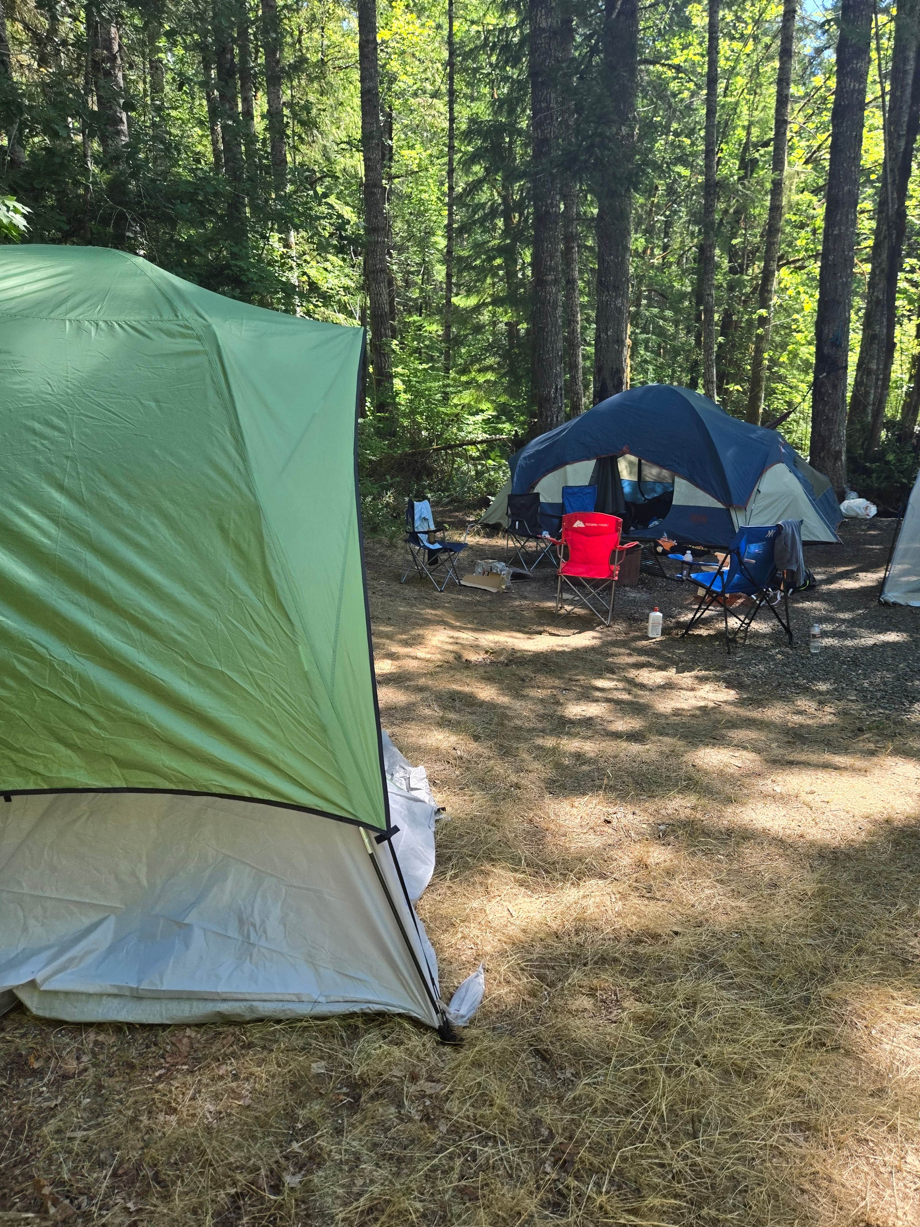 Camper-submitted photo at Brown Creek Campground near Ocean Shores, WA