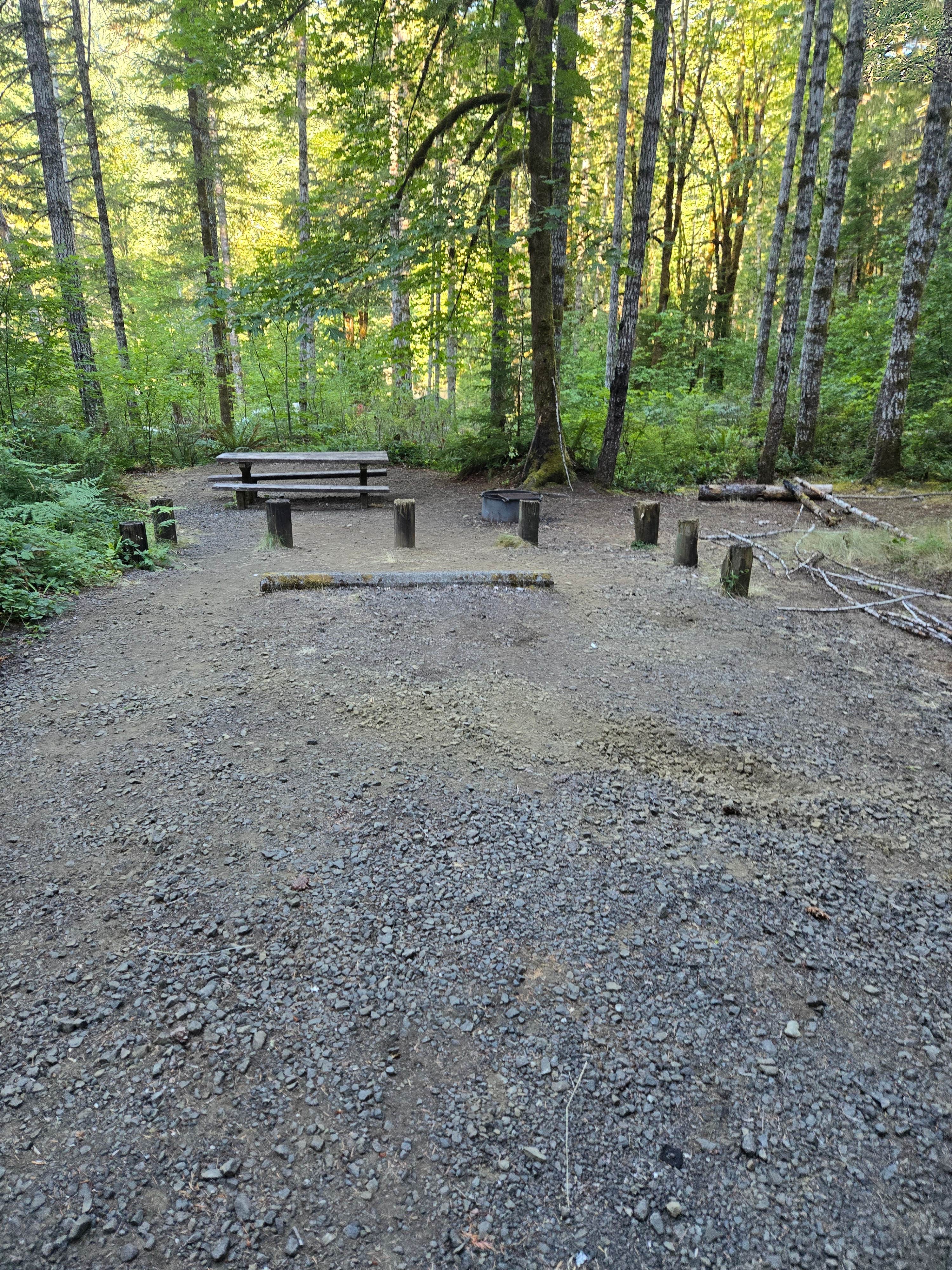 Camper submitted image from Brown Creek Campground - 3