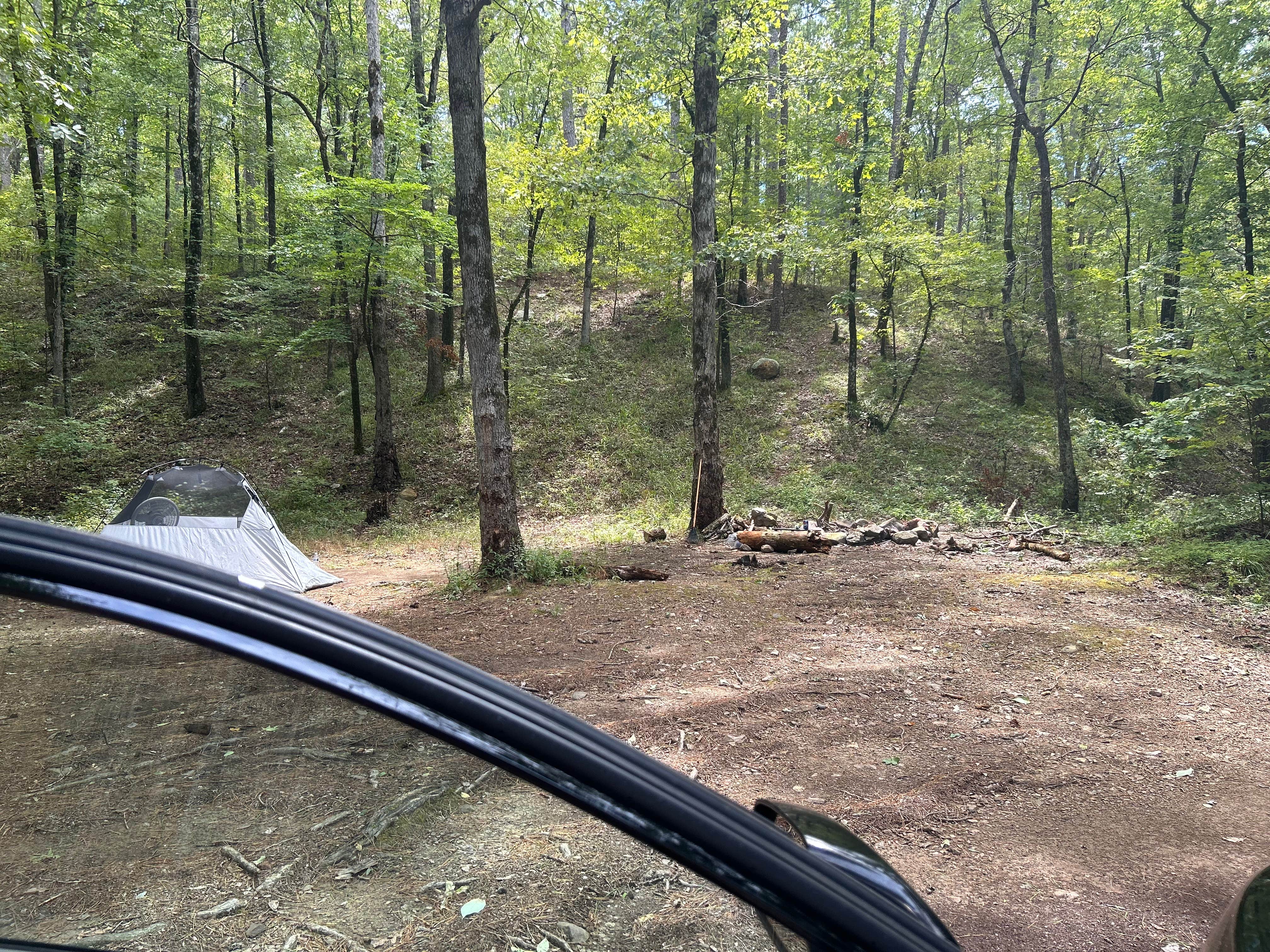 Arthur S.'s photo of tent camping at Brown Creek Cascade Dispersed Campsite near Conway, AR