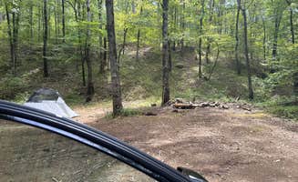 Arthur S.'s photo of a dispersed camping area at Brown Creek Cascade Dispersed Campsite near Dover, AR