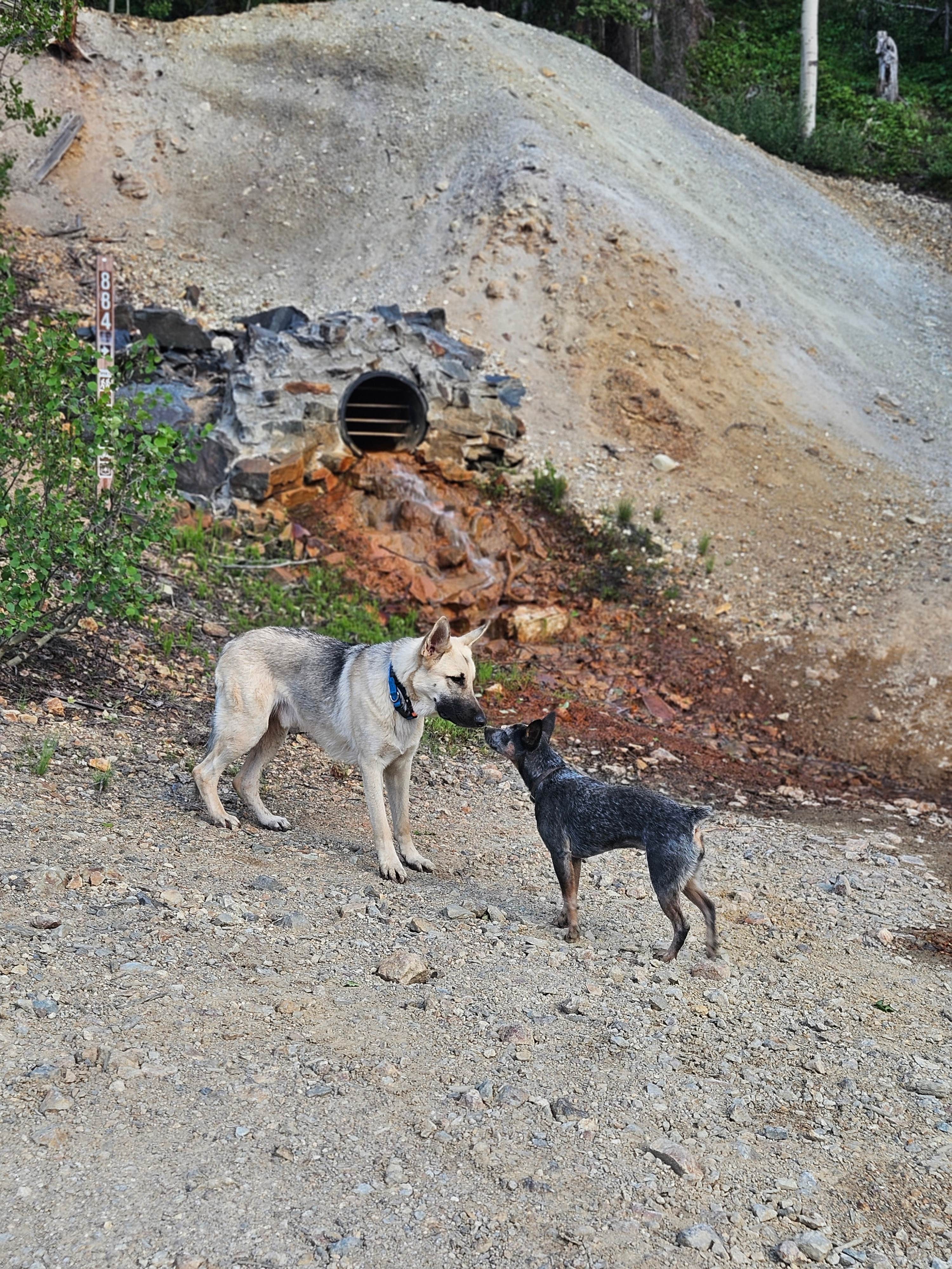 Camper-submitted photo at Brown Mountain Rd ( Flynt Overlook) near Ouray, CO