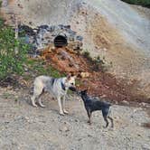 Review photo of Brown Mountain Rd ( Flynt Overlook) by Caitlin F., June 27, 2025