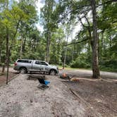 Review photo of Brown Mountain Roadside Campsites by Twan M., July 31, 2024