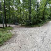 Review photo of Brown Mountain Roadside Campsites by Twan M., July 31, 2024