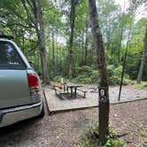 Review photo of Brown Mountain Roadside Campsites by Twan M., July 31, 2024