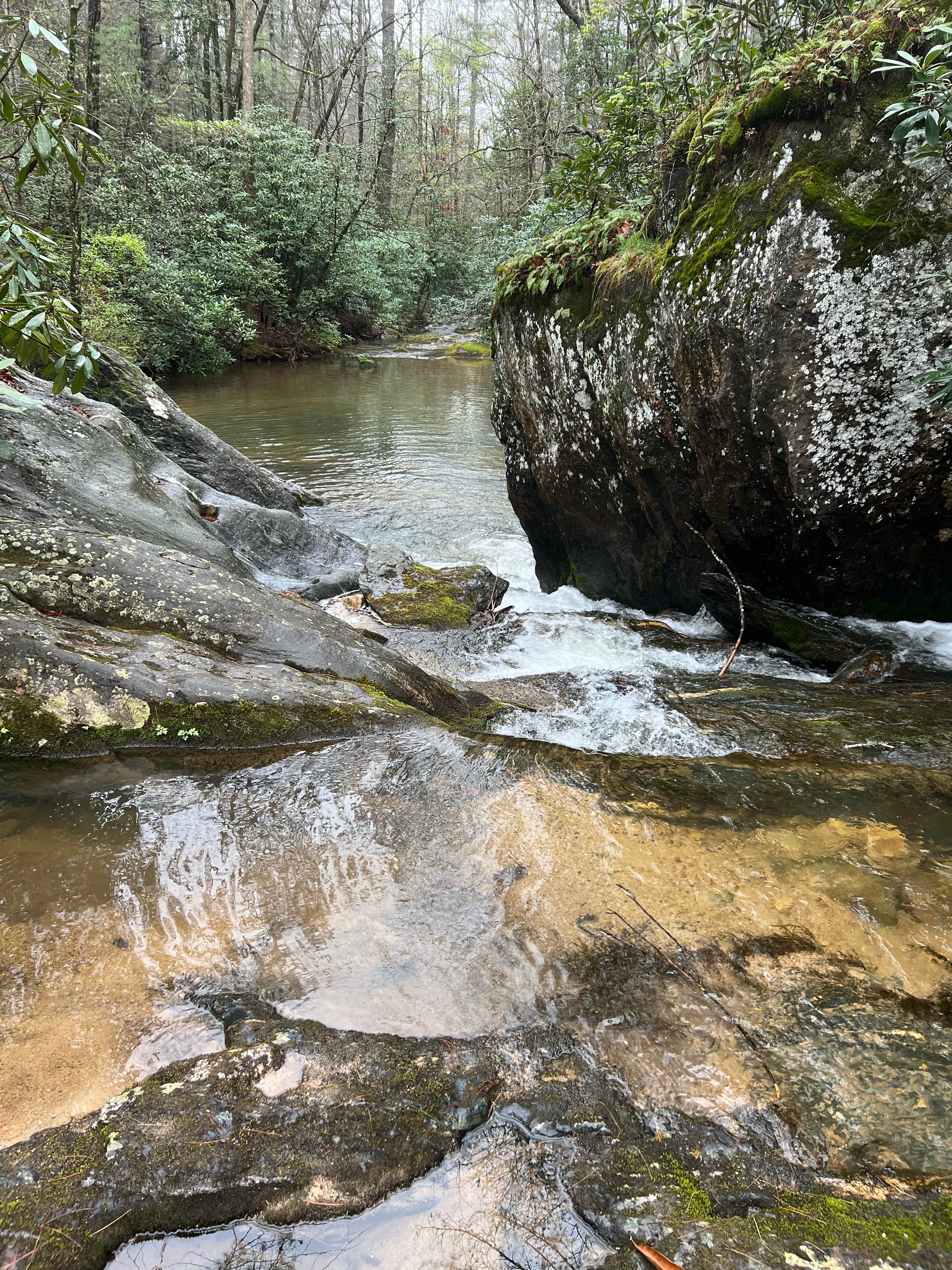 Water