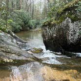 Review photo of Brown Mountain Roadside Campsites by kylie B., April 18, 2024