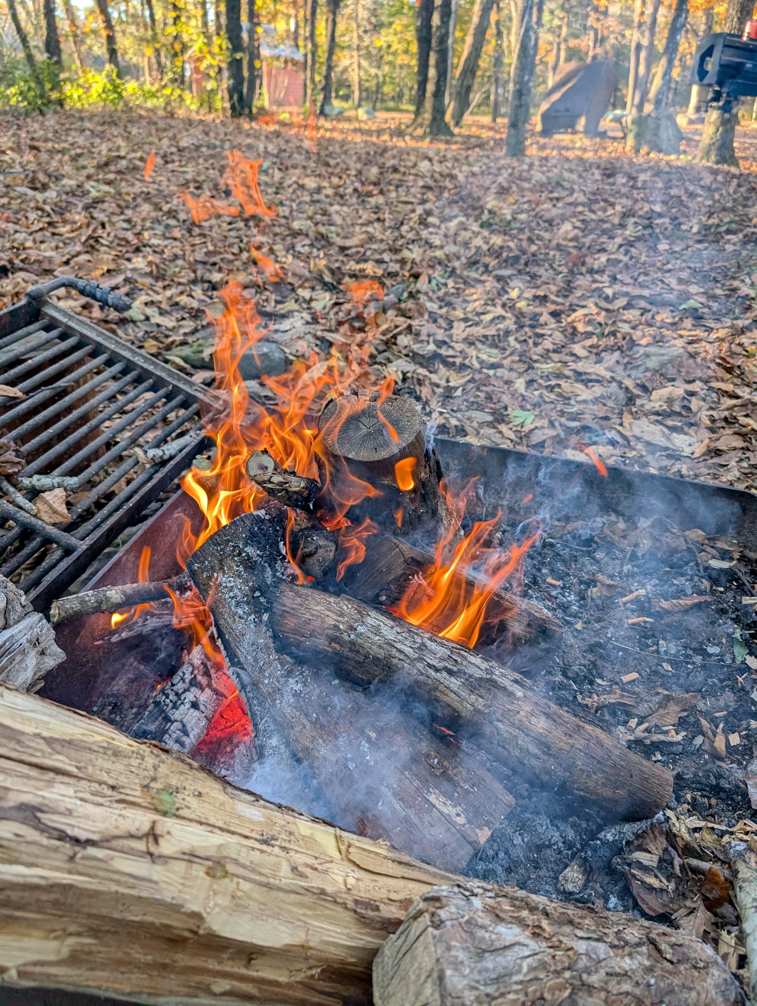 Brown Springs Picnic Area (Overflow camping)