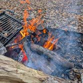 Review photo of Brown Springs Picnic Area (Overflow camping) by Josh B., April 28, 2026