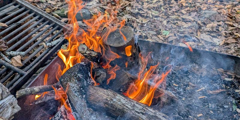 Camper submitted image from Brown Springs Picnic Area (Overflow camping)