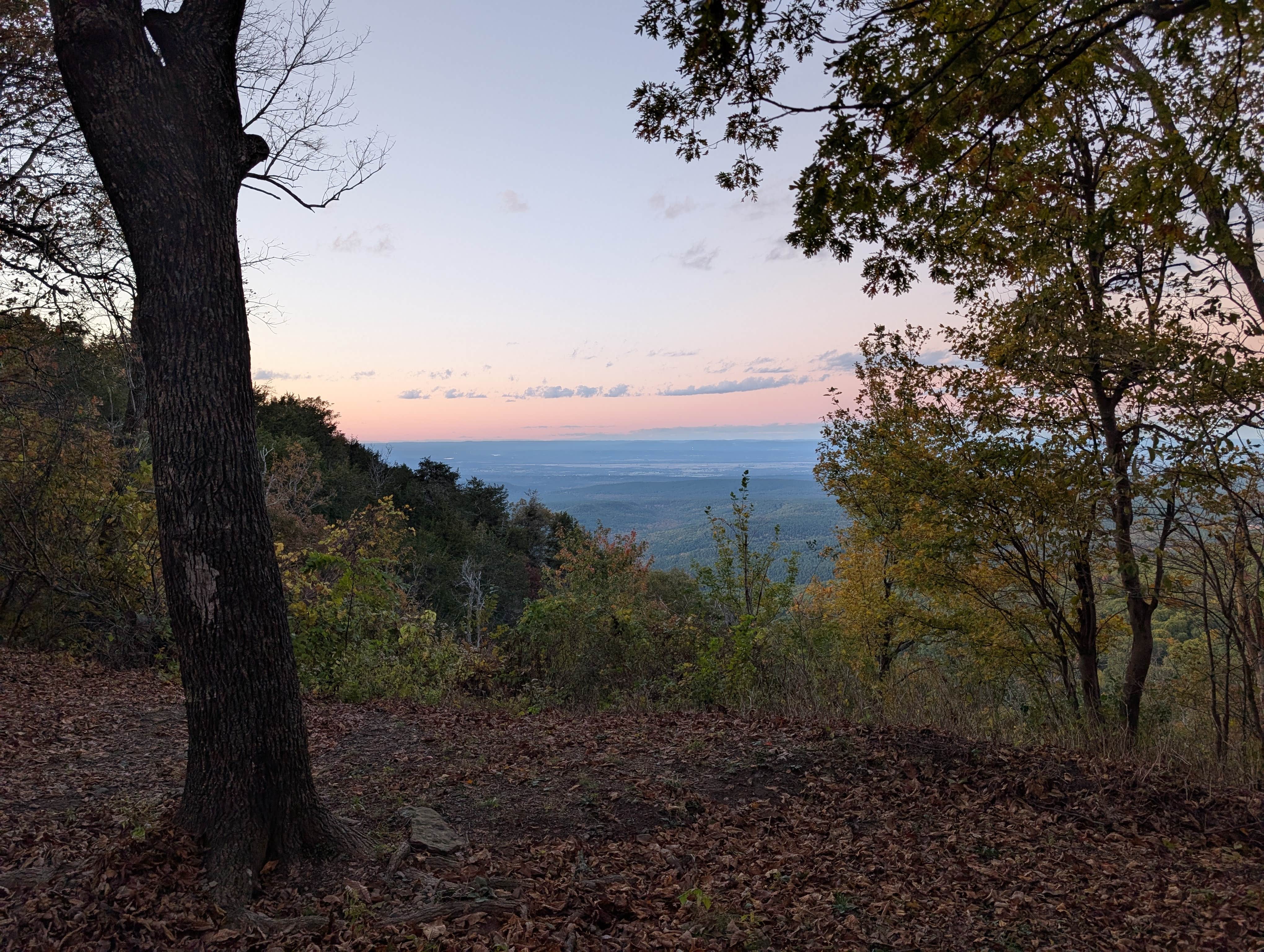 Camper-submitted photo at Brown Springs Picnic Area (Overflow camping) near Blue Mountain, AR