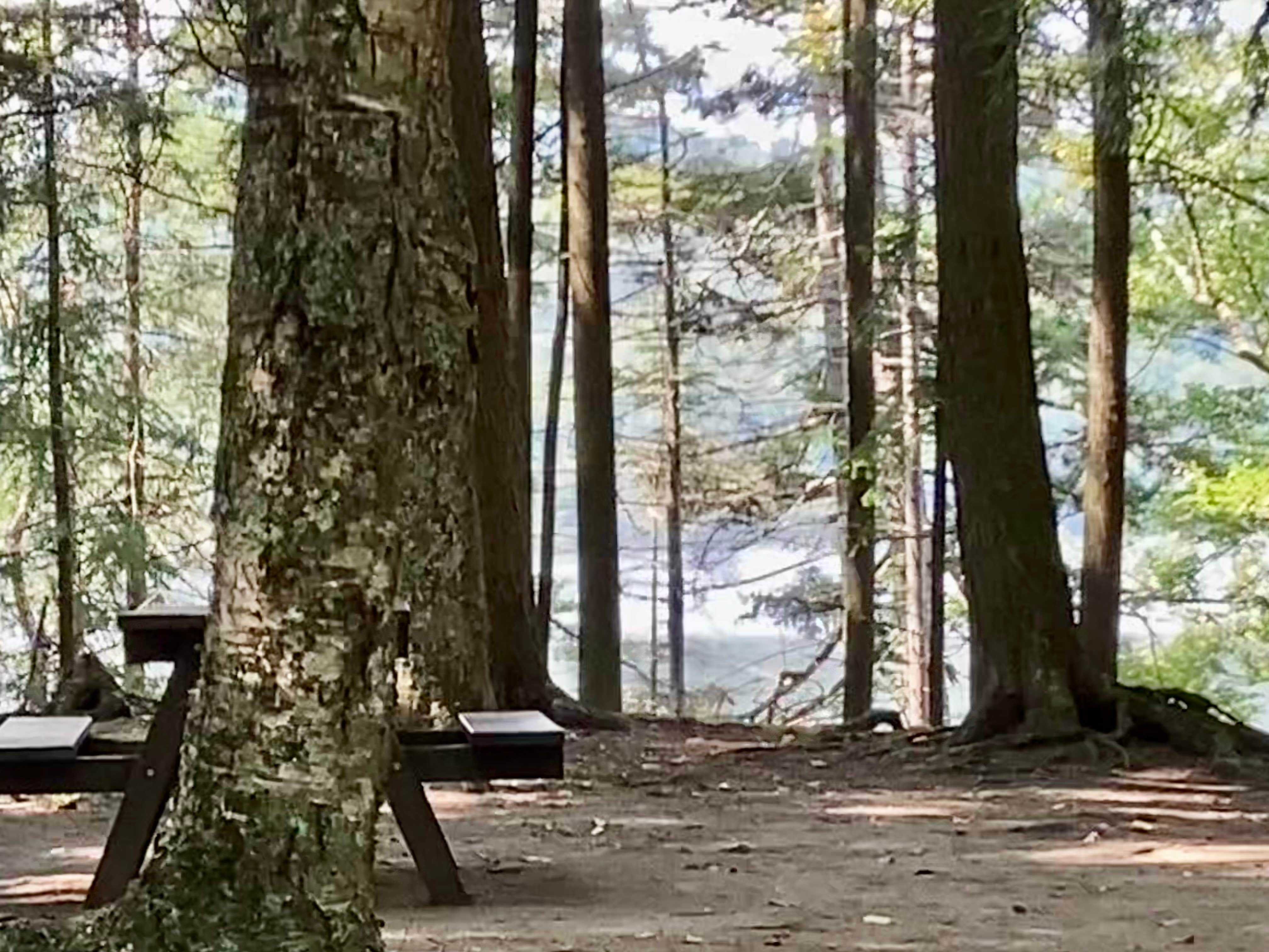 Camper-submitted photo at Brown Tract Pond Campground near Eagle Bay, NY