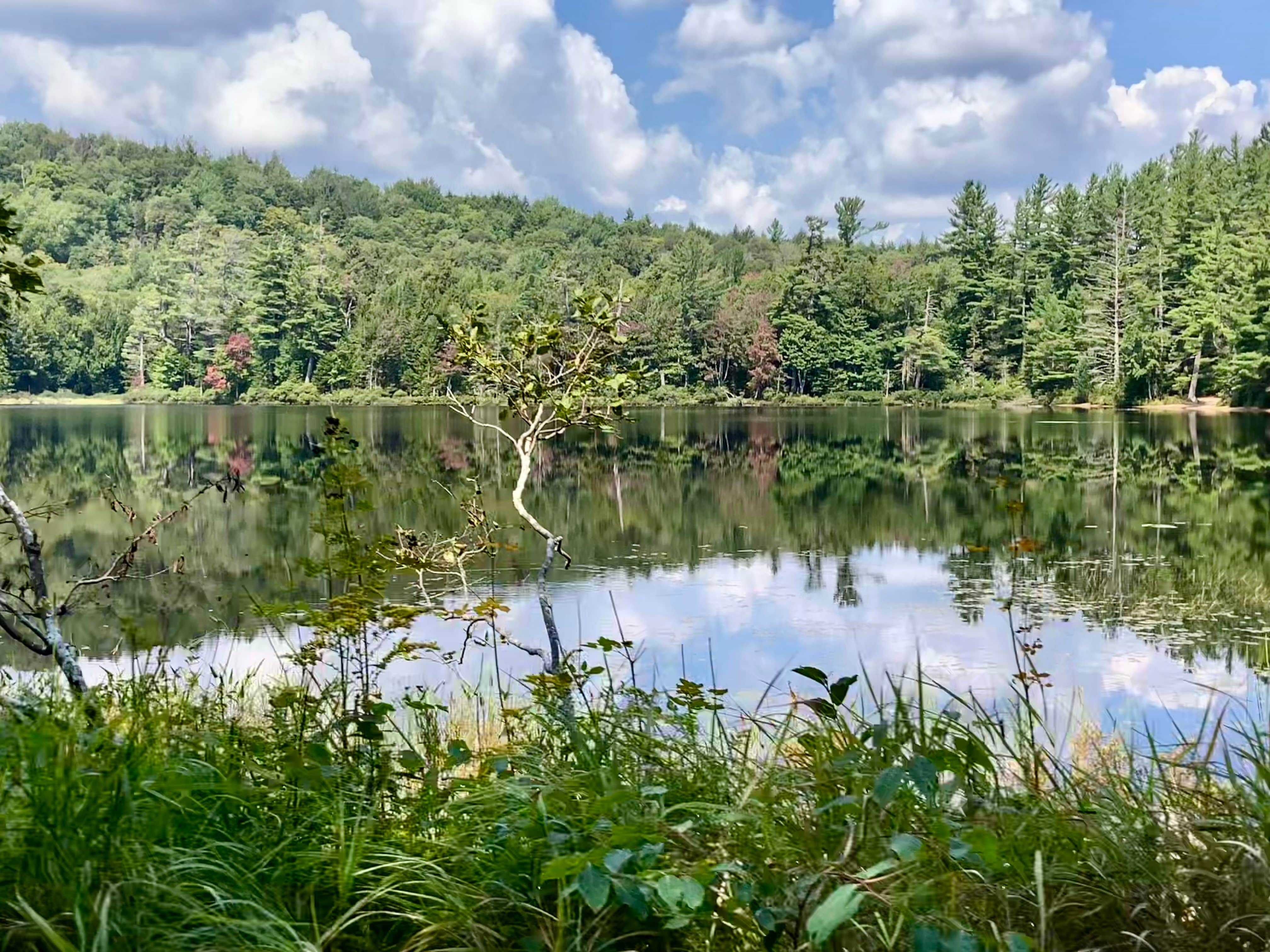 Camper-submitted photo at Brown Tract Pond Campground near Eagle Bay, NY