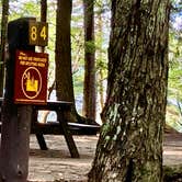 Review photo of Brown Tract Pond Campground by Janet R., December 31, 2025