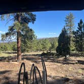 Review photo of Browns Creek (South) Dispersed Camping by Kaitlyn A., June 20, 2026