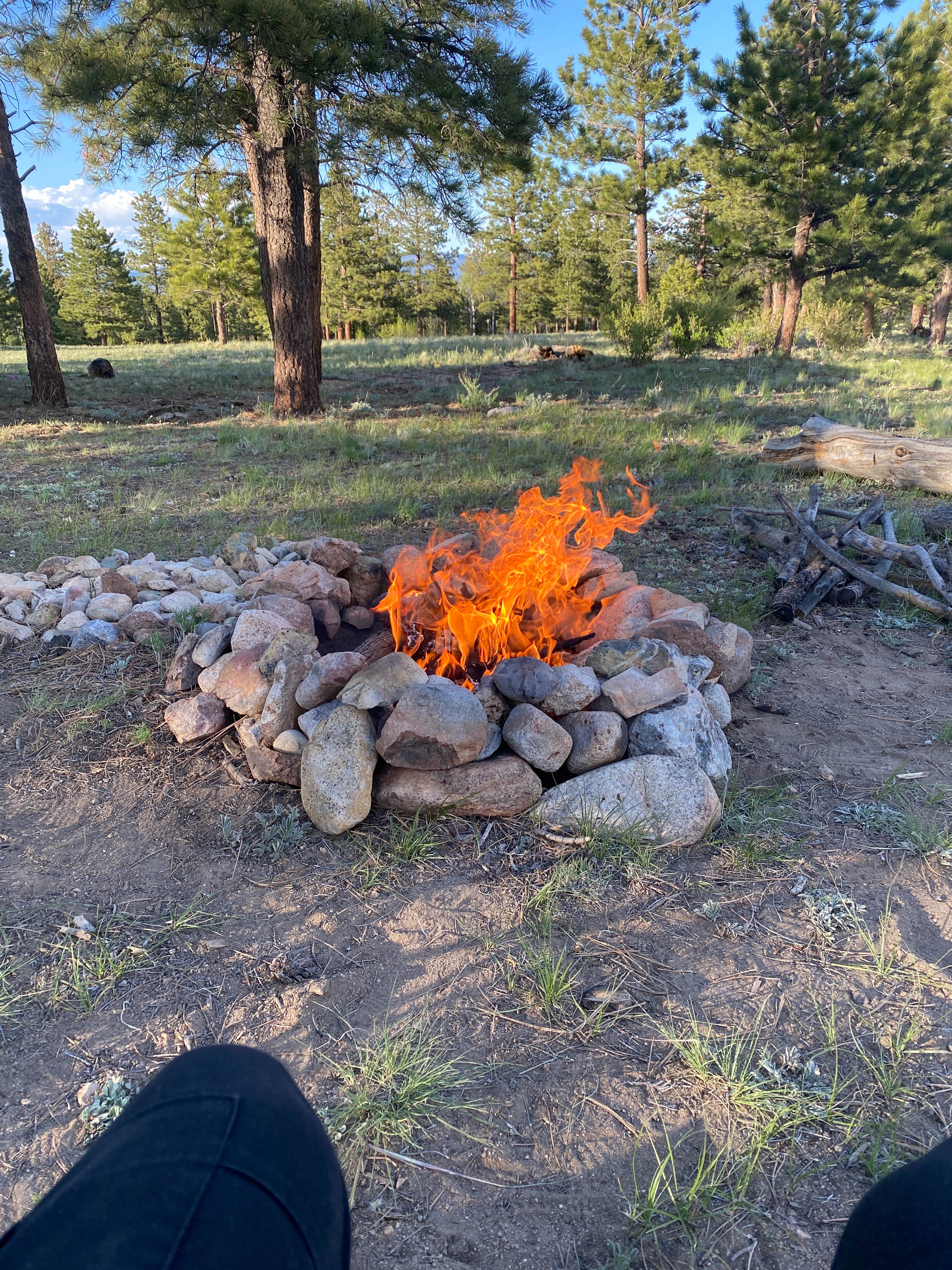 Camper-submitted photo at Browns Creek (South) Dispersed Camping near Poncha Springs, CO