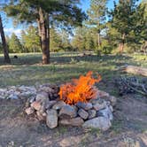 Review photo of Browns Creek (South) Dispersed Camping by Rob B., June 1, 2024