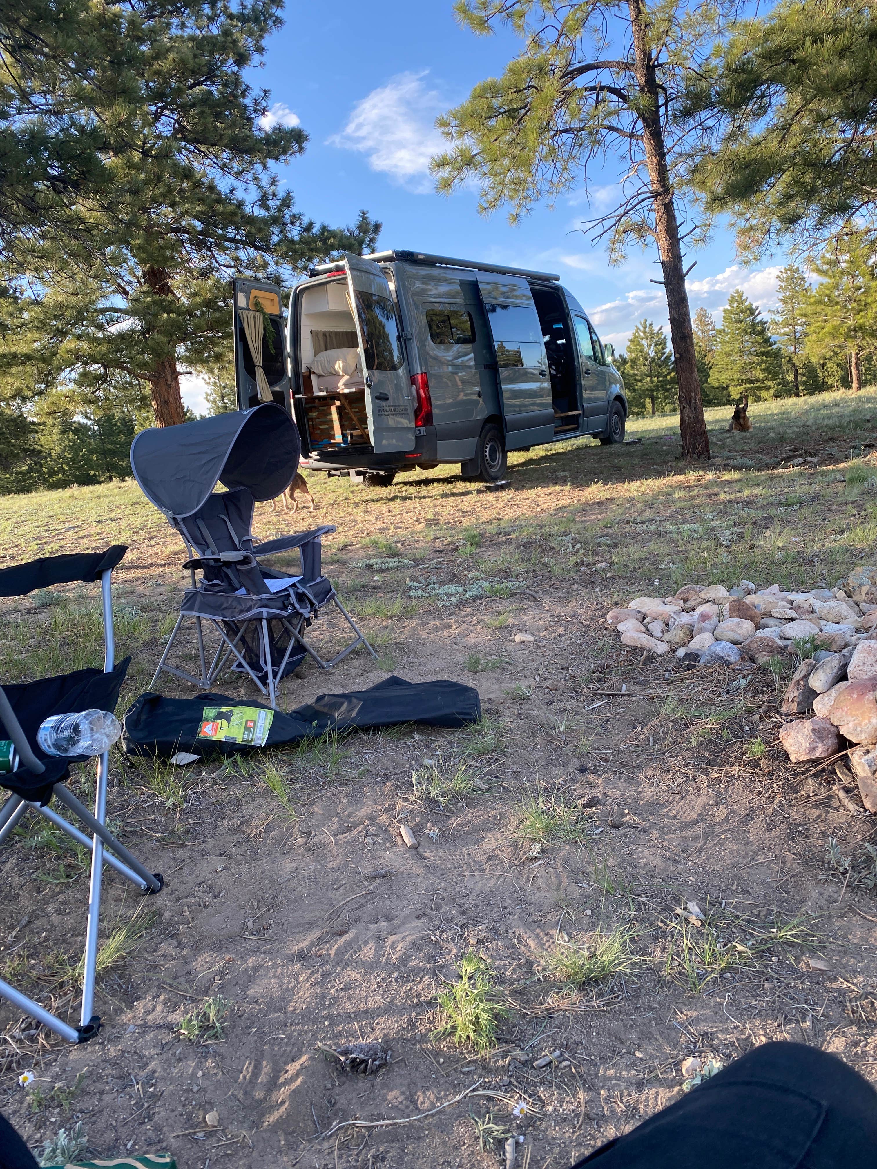 Browns Creek (South) Dispersed Camping