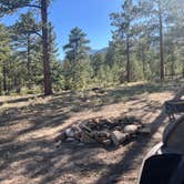 Review photo of Browns Creek (South) Dispersed Camping by Kaitlyn A., June 20, 2026