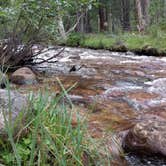 Review photo of Browns Creek (South) Dispersed Camping by Will H., August 25, 2024