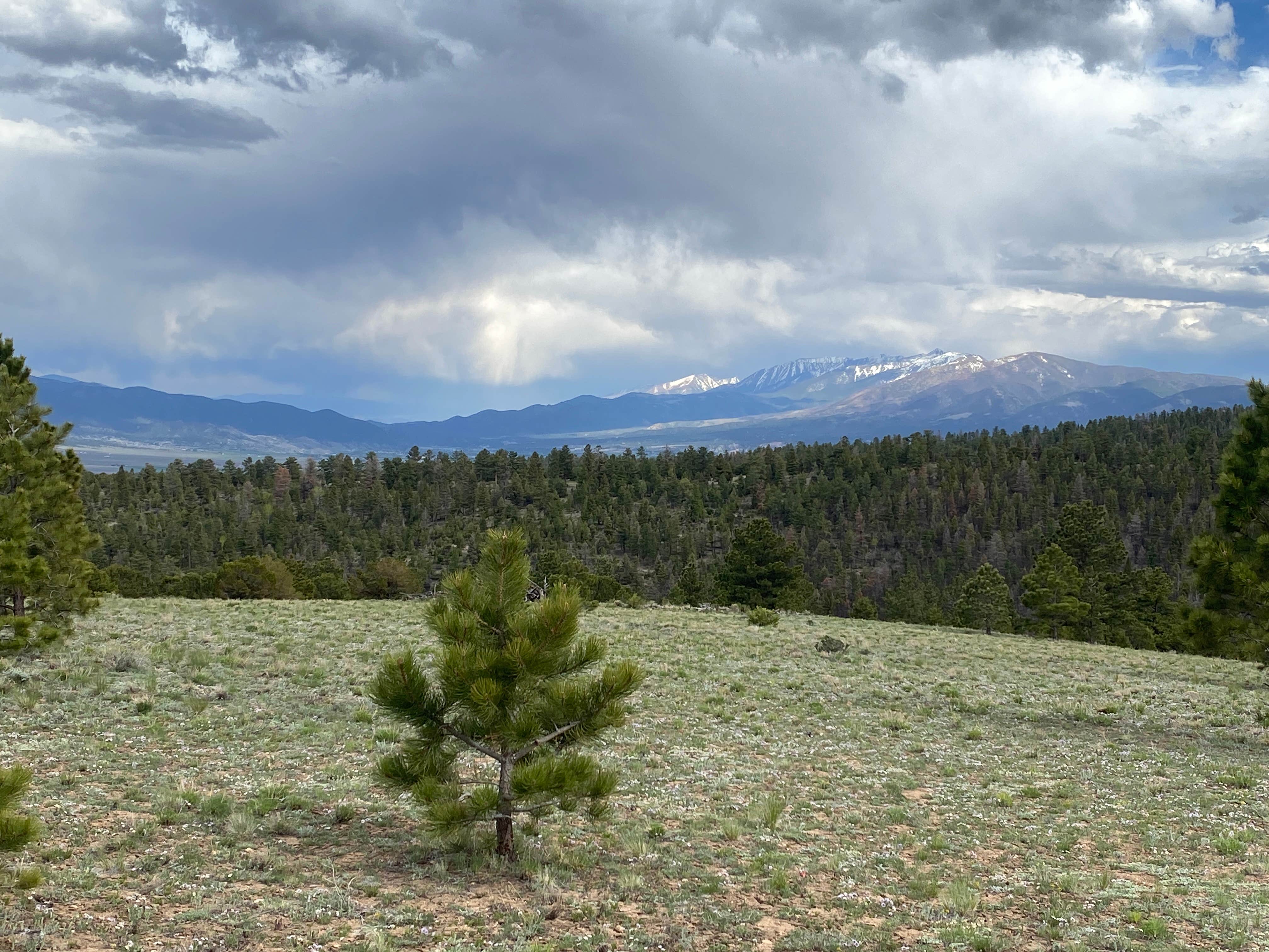 Rob B.'s photo of a dispersed camping area at Browns Creek (South) Dispersed Camping near Poncha Springs, CO