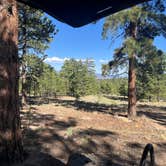 Review photo of Browns Creek (South) Dispersed Camping by Kaitlyn A., June 20, 2026