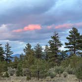 Review photo of Browns Creek by Daniel P., September 1, 2025