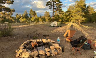Daniel P.'s photo at Browns Creek near Nathrop, CO