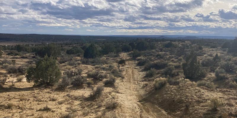 Camper submitted image from Brown Springs Campground