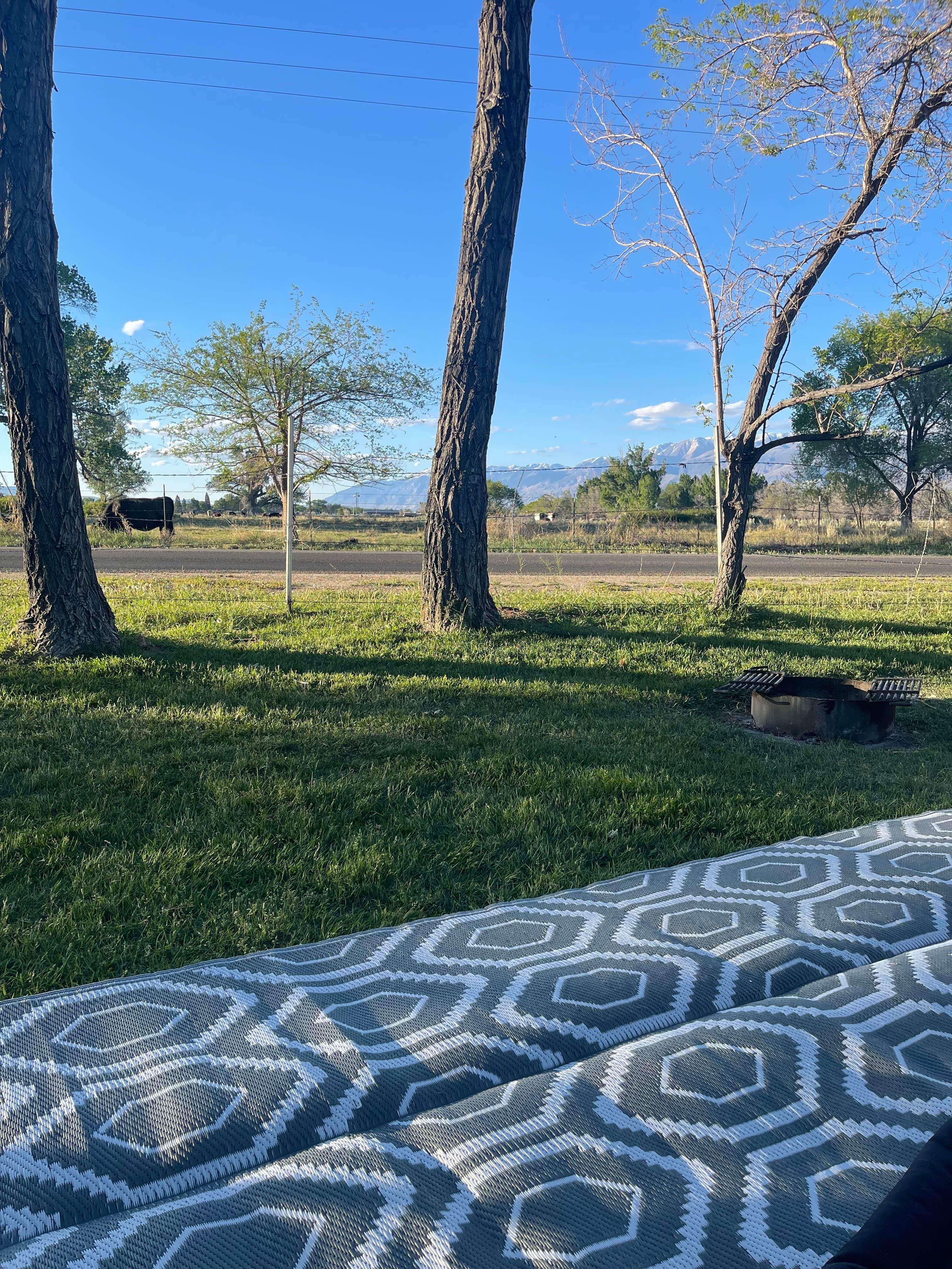 Camper-submitted photo at Brownstown Campground near Dyer, NV