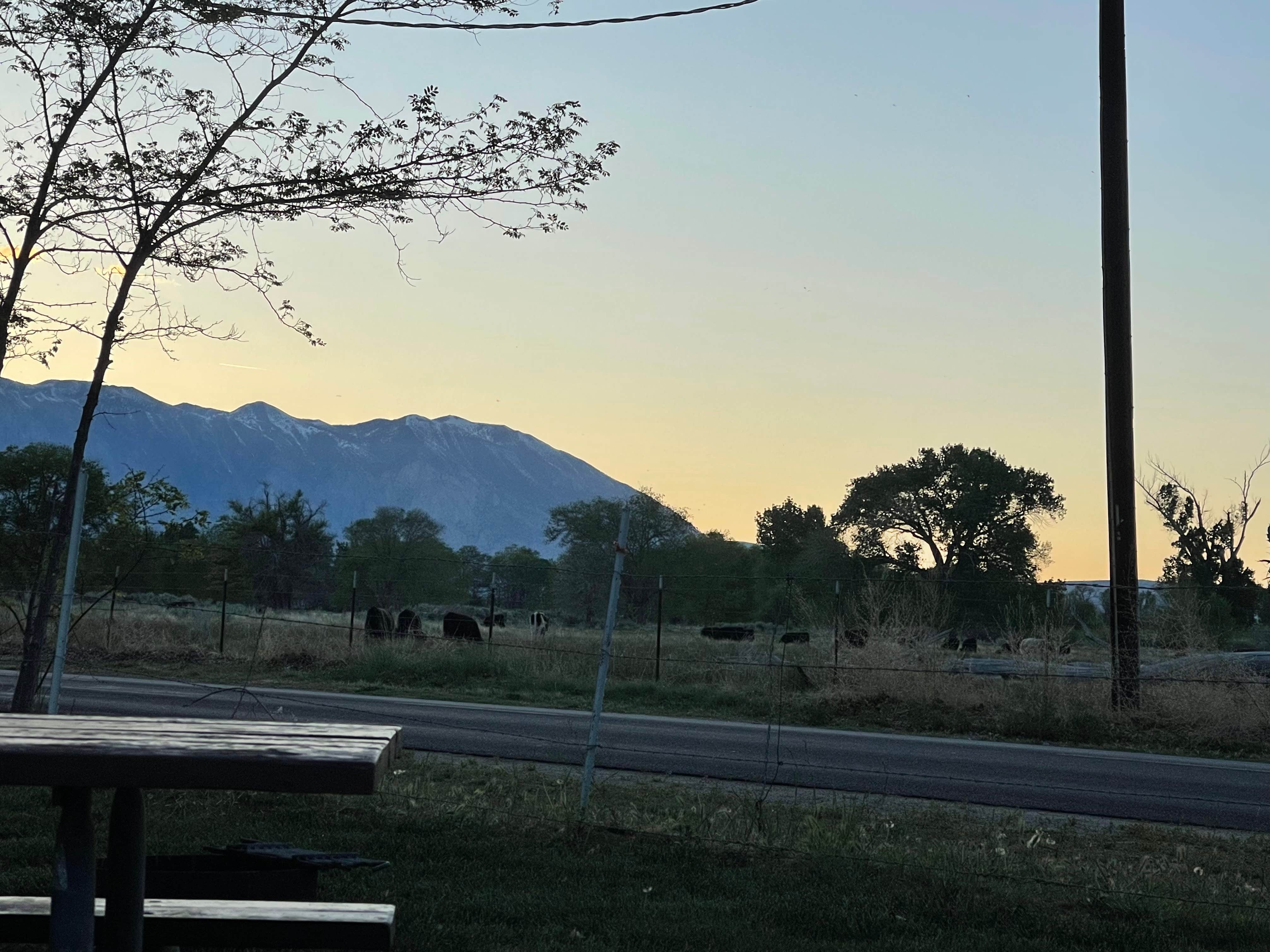 Camper-submitted photo at Brownstown Campground near Dyer, NV