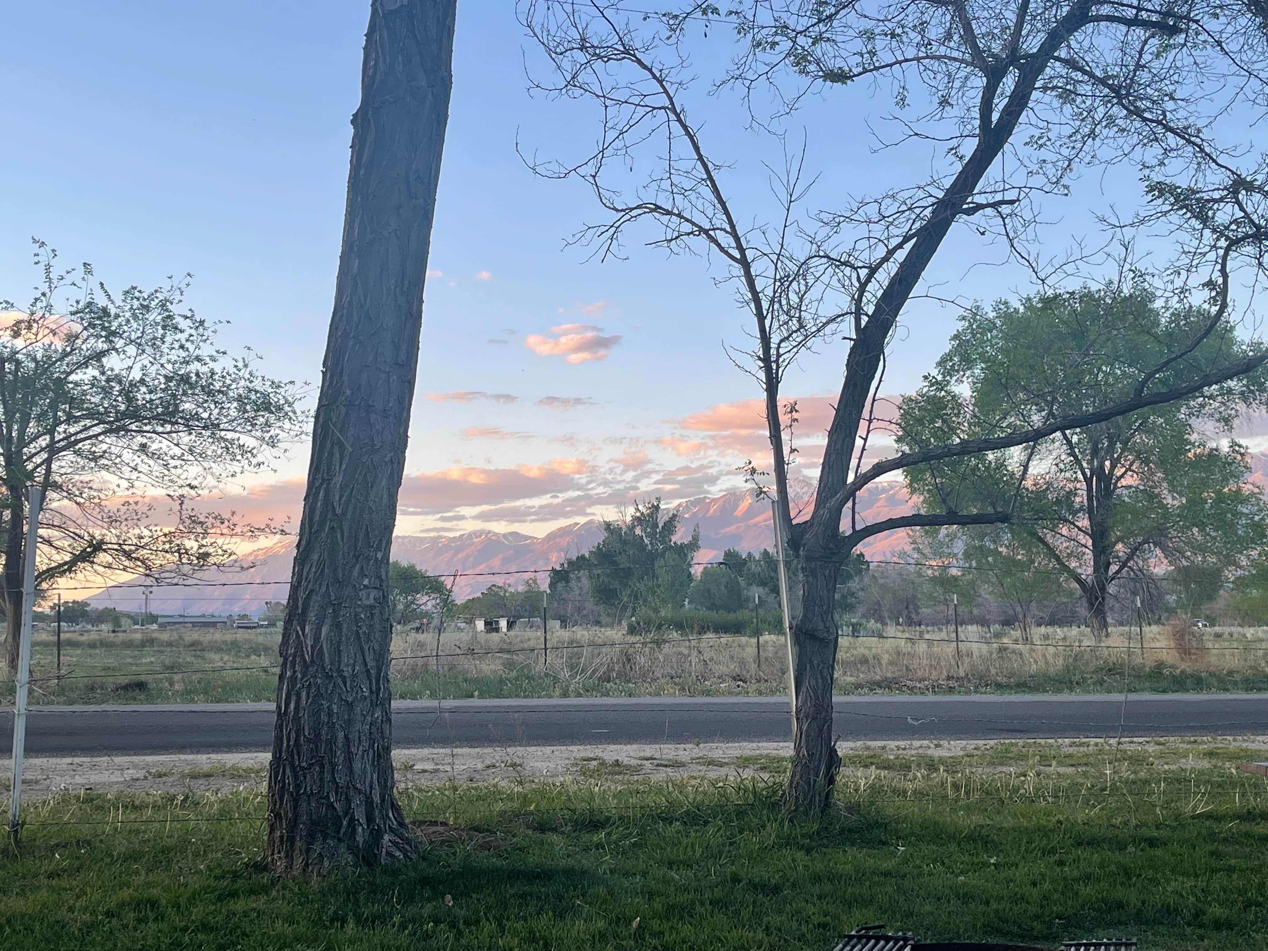 Camper-submitted photo at Brownstown Campground near Dyer, NV
