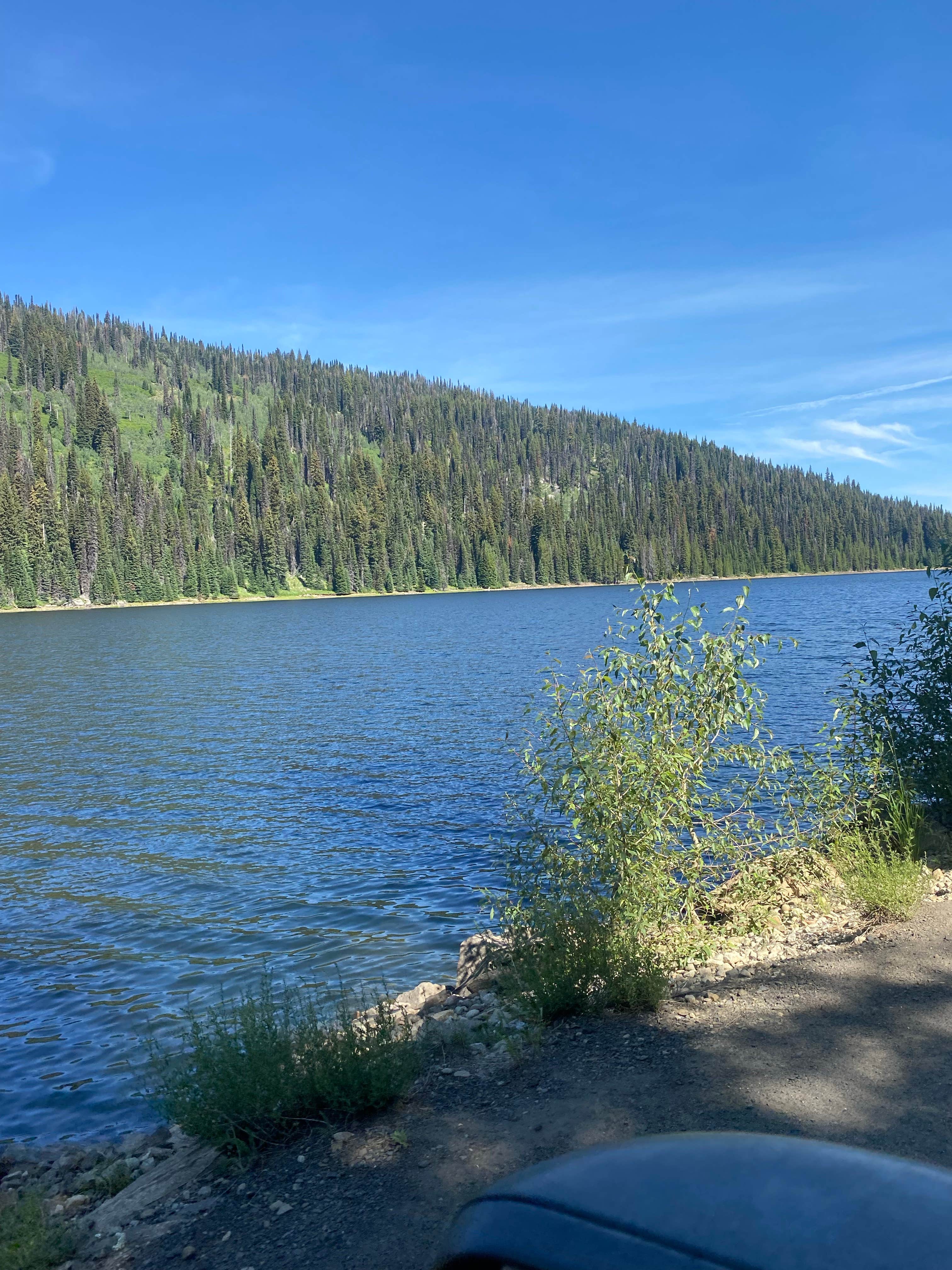 Camper-submitted photo at Brundage Resivour Dispersed Camping near Warren, ID