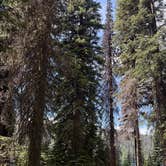 Review photo of Brundage Resivour Dispersed Camping by Anthony R., July 13, 2026
