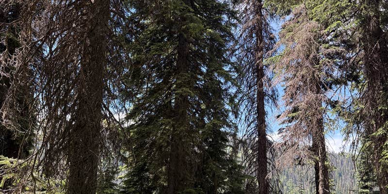 Camper submitted image from Brundage Resivour Dispersed Camping