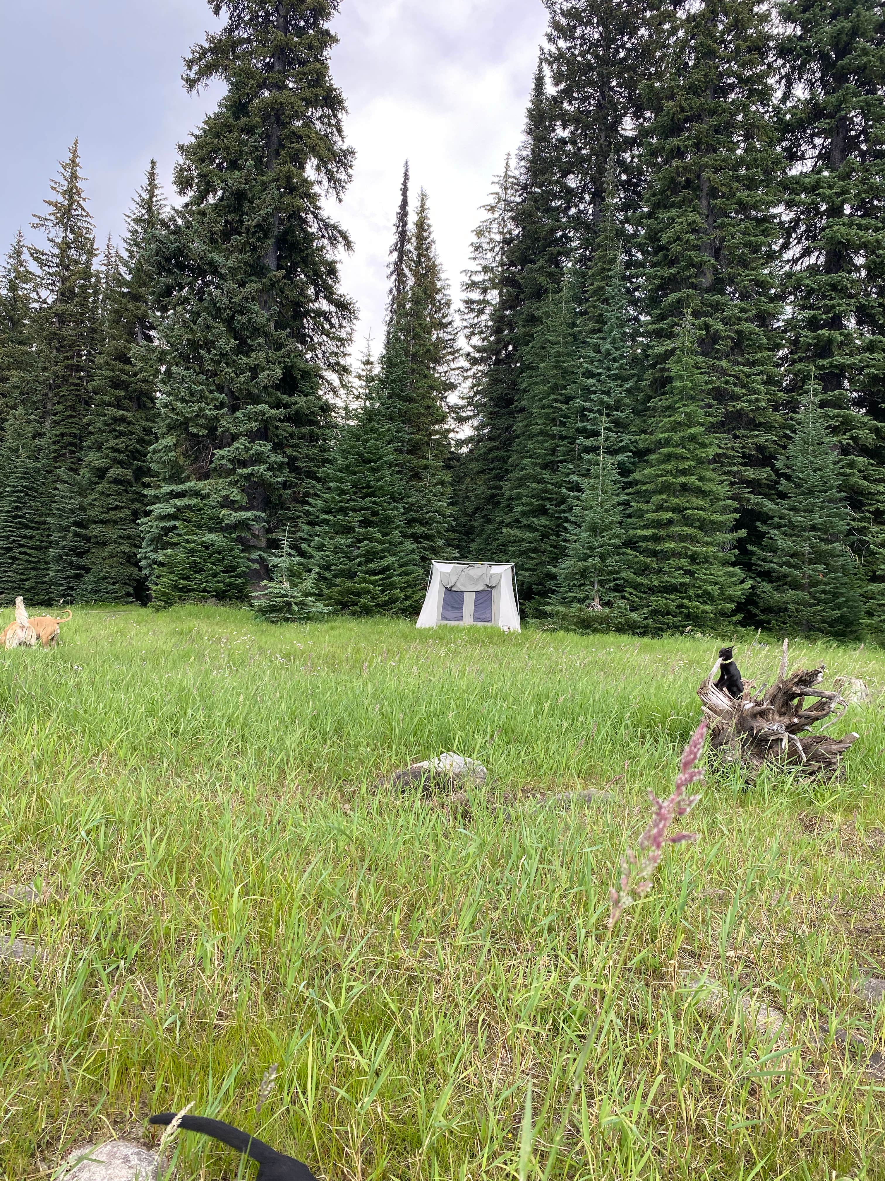 Camper-submitted photo at Brundage Resivour Dispersed Camping near Warren, ID