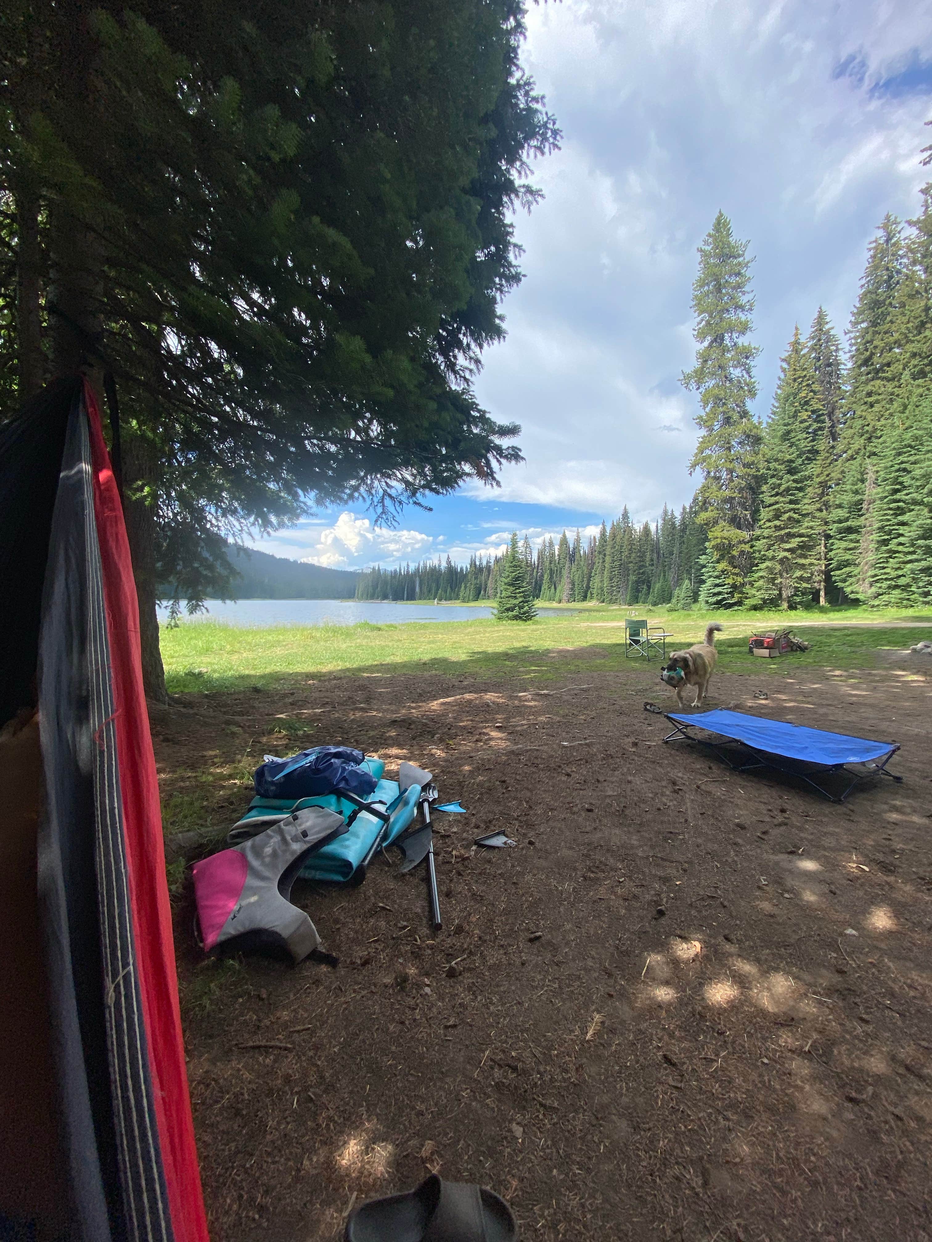 Camper submitted image from Brundage Resivour Dispersed Camping - 1