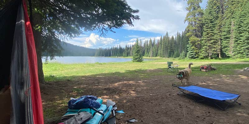 Camper submitted image from Brundage Resivour Dispersed Camping