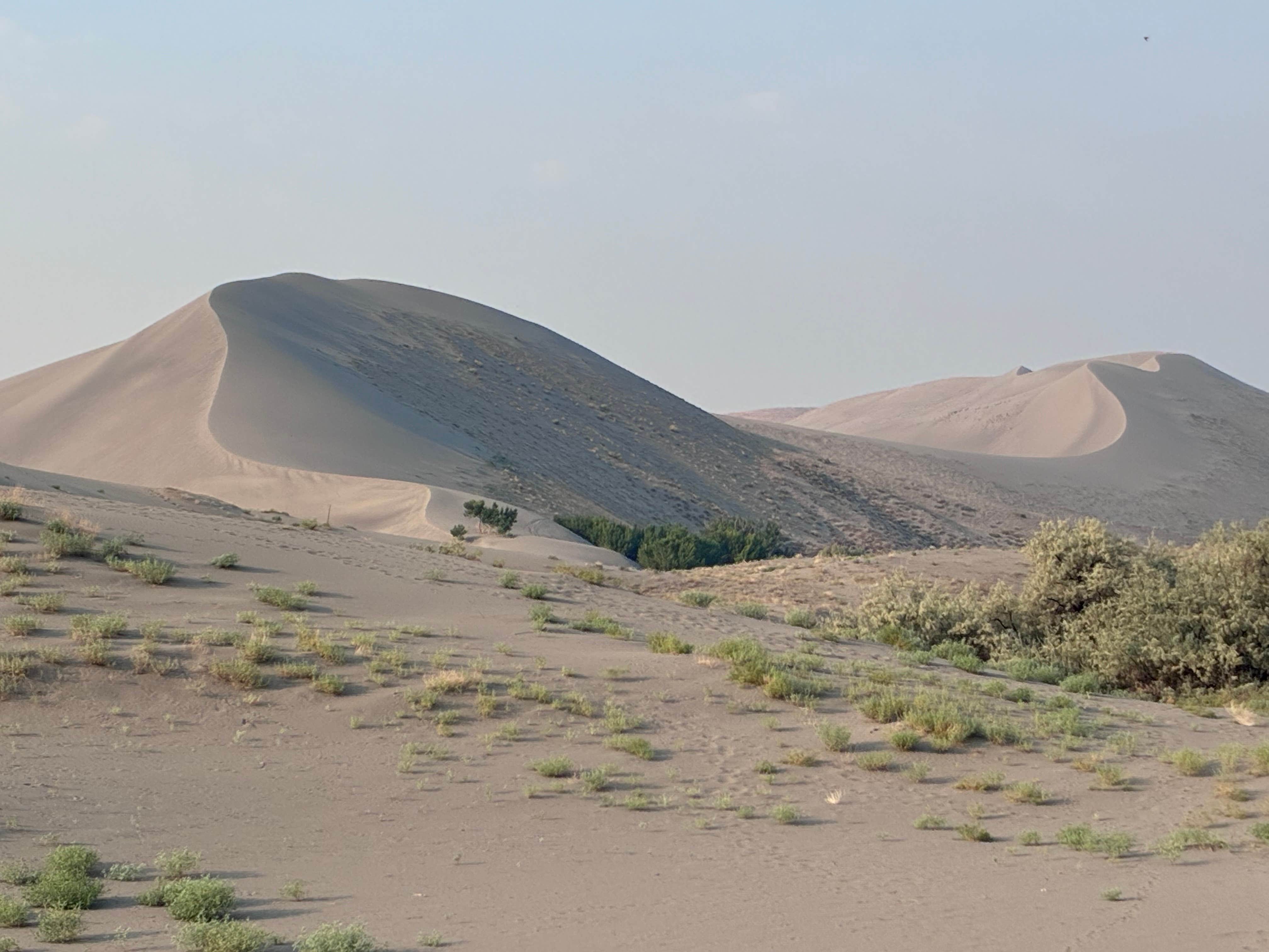 Bruneau Dunes State Park