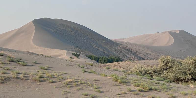 Camper submitted image from Bruneau Dunes State Park
