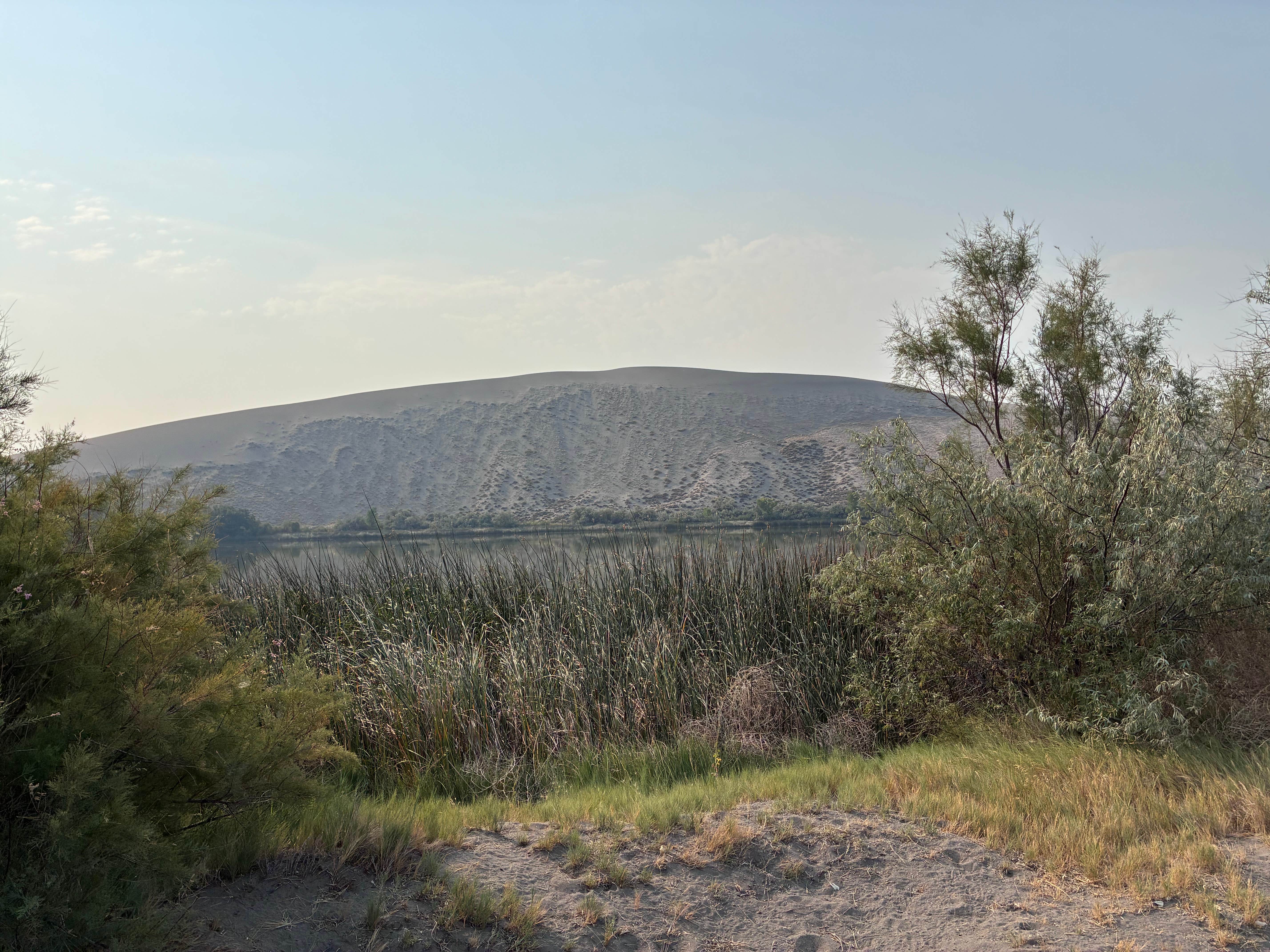 Camper-submitted photo at Bruneau Dunes State Park near Glenns Ferry, ID