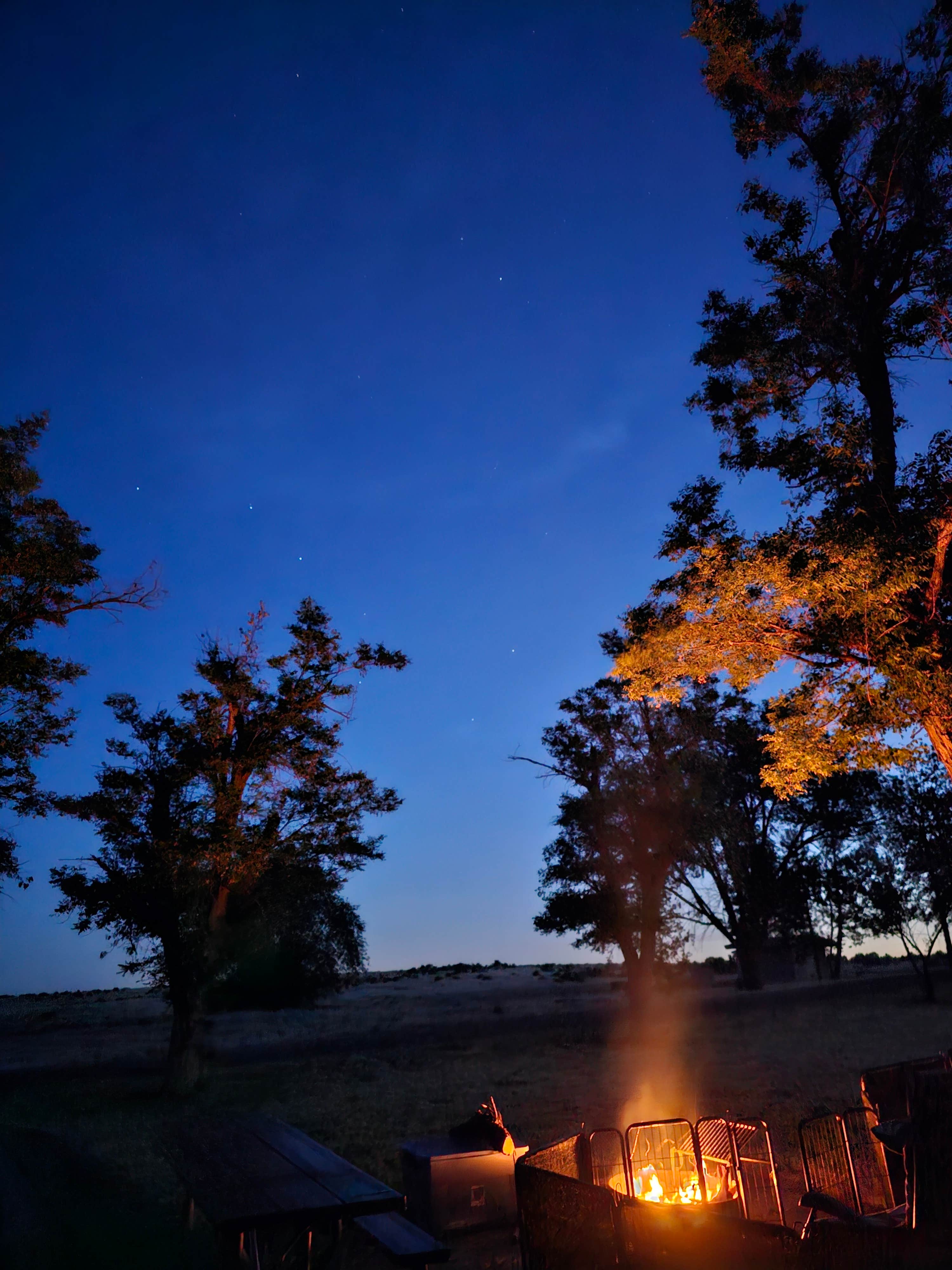 William P.'s photo at Bruneau Dunes State Park Campground near Glenns Ferry, ID