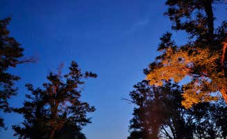 William P.'s photo at Bruneau Dunes State Park Campground near Glenns Ferry, ID