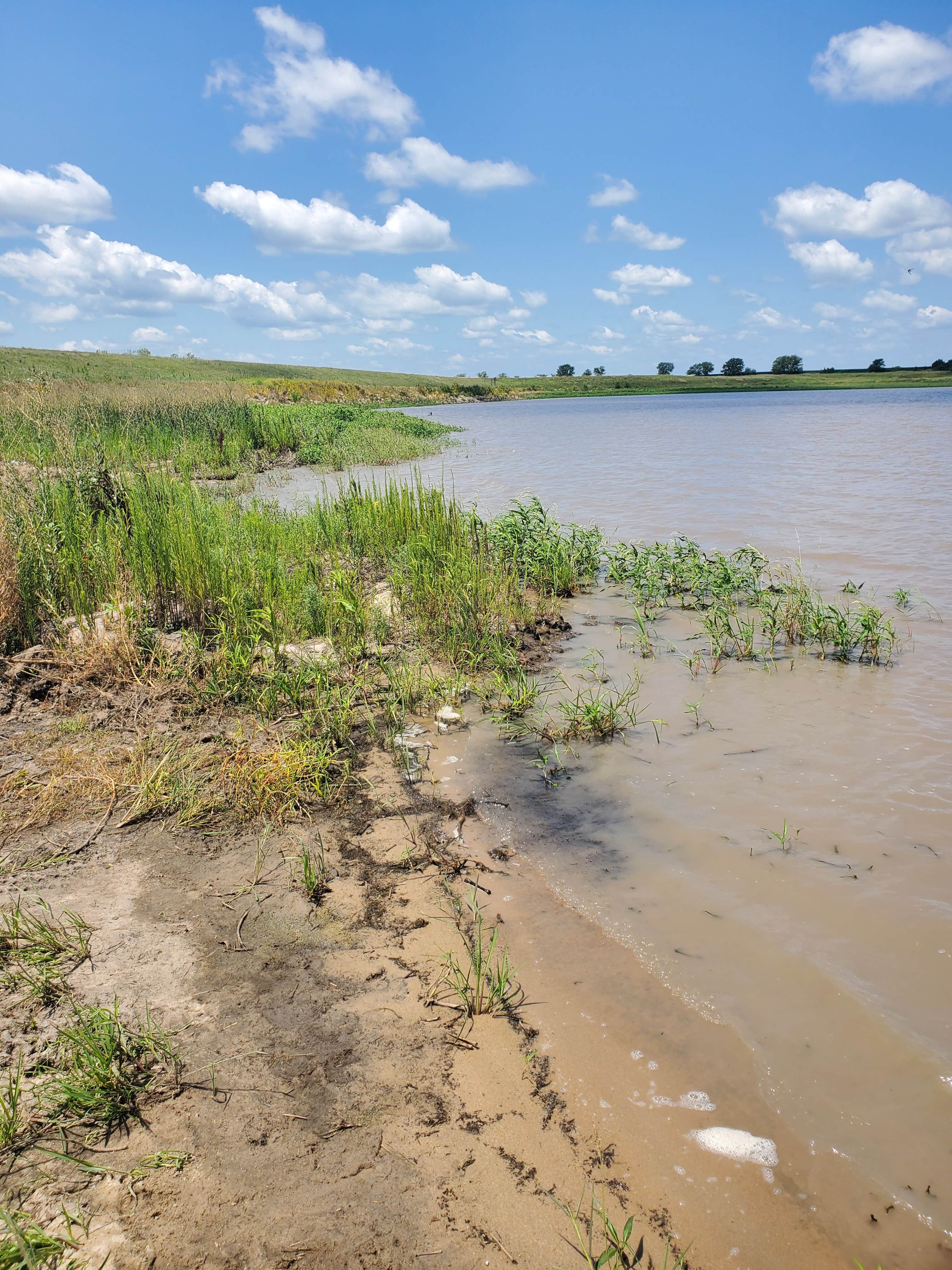 Camper submitted image from Bruning Dam Recreation Area - 5